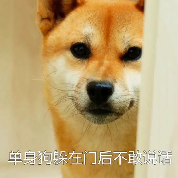 柴犬表情包:火速逃离虐狗现场,不明真相的围观狗群