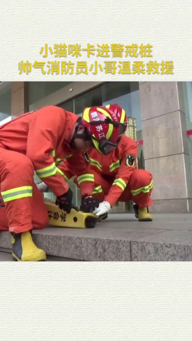 小猫咪卡进警戒桩 帅气消防员小哥温柔救援