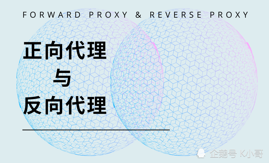 nginx反向代理要帶端口號_代理和反向代理的區別_nginx反向代理的好處