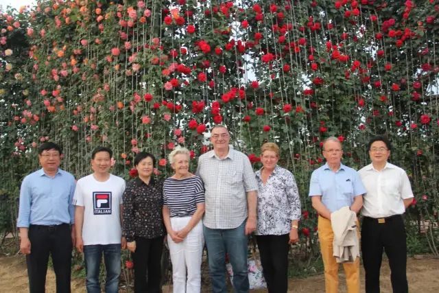 首届美丽卧龙文化旅游节游玩攻略中国月季园