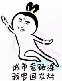 城市套路太深我要回农村搞笑斗图表情包