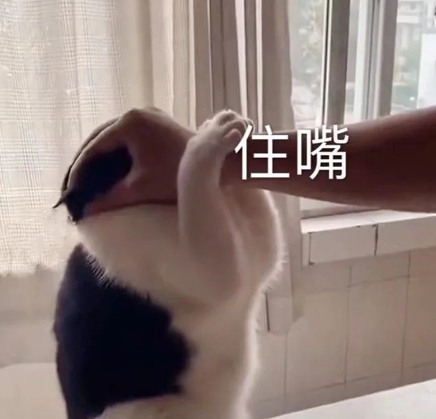 表情包|精神小伙,不请自来