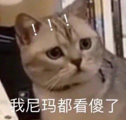 萌宠表情包:闪现到你怀里