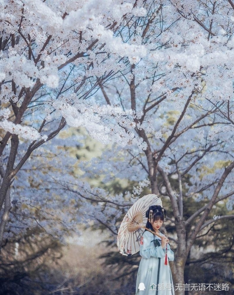 手持油纸伞的汉服美少女,给一幅唯美的景色又增添了几
