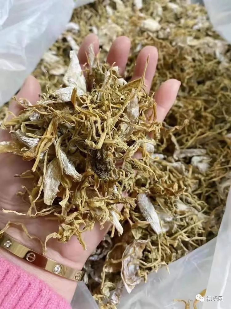 【三天不喝干菜汤,脚膀有点酸汪汪】余姚笋干菜,鲜嫩可口,你吃过吗?