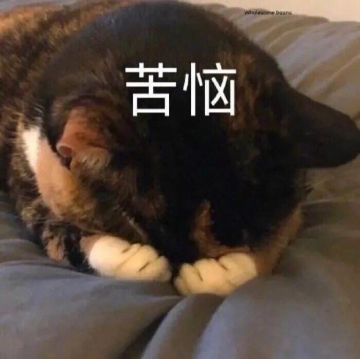 萌宠表情包:吃嘛呢?给我掰点!