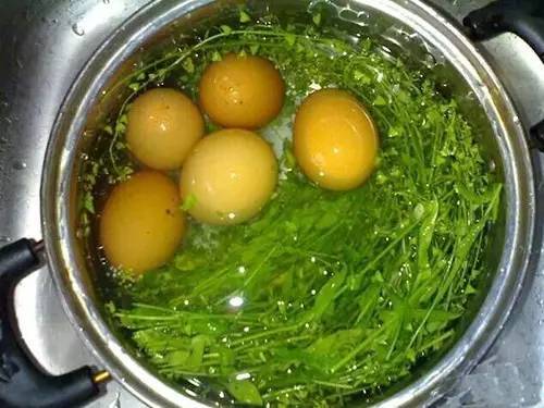 三月三地菜煮鸡蛋,你以为只是好吃?赶紧告诉家人!