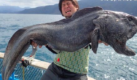 日本福岛核泄漏后海洋生物变异含有剧毒容易引发癌症