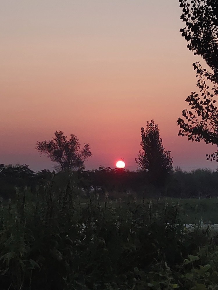 各地晚霞风景图