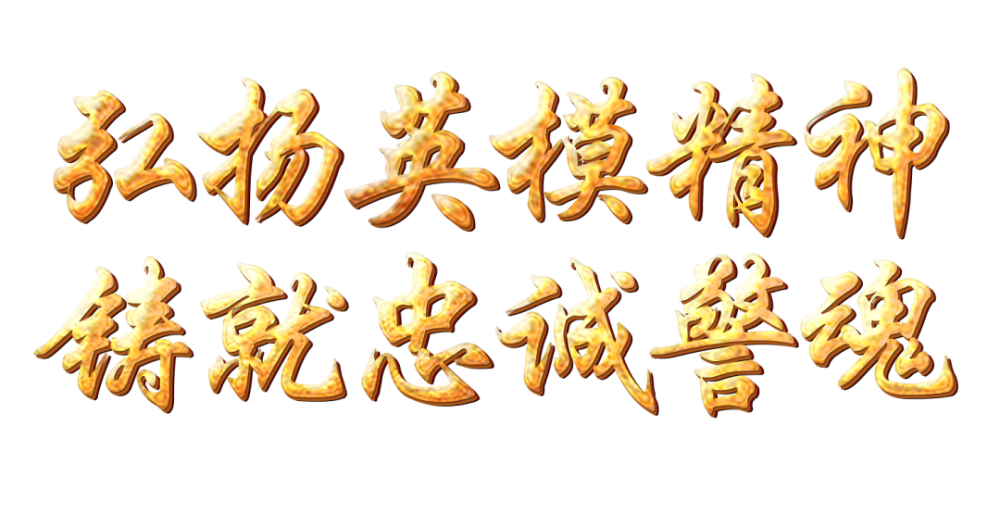 教育整顿弘扬英模精神激励全市公安民警奋斗新征程担当新使命展现新