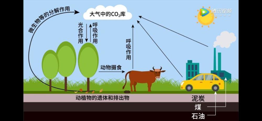 地球上植物可以吸收二氧化碳(co)进行光合作用,这是目前碳自然循环中