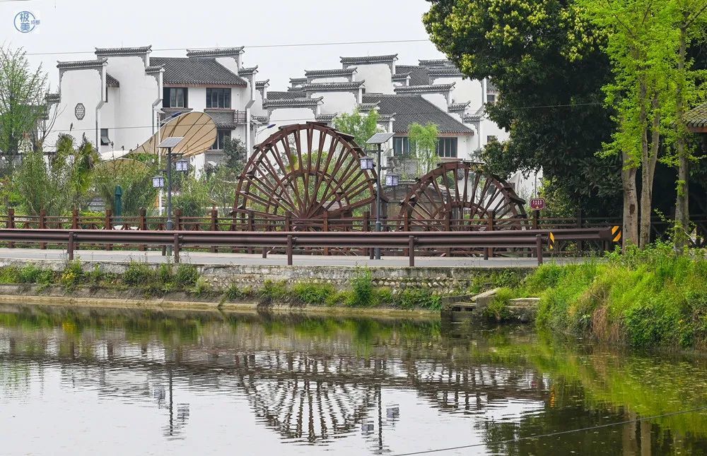 铁牛村来了50个"斜杠"村民