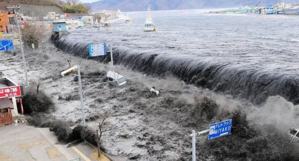 日本核废水入海后果如何?57天污染半个太平洋,专家称恐影响生态!