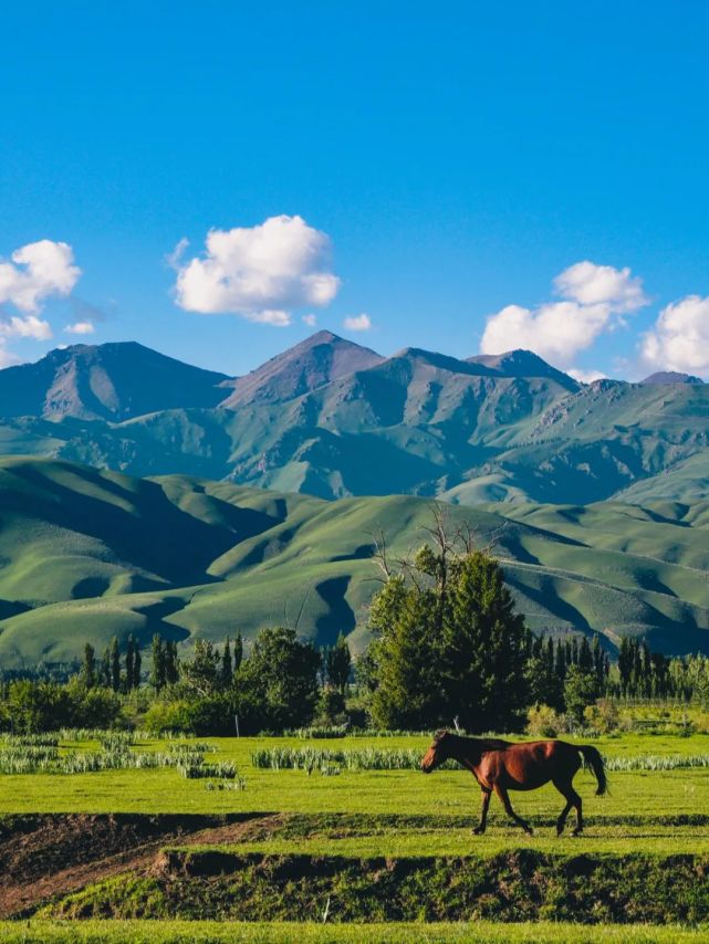 那拉提旅游风景区,位于新疆新源县境内,地处天山腹地.