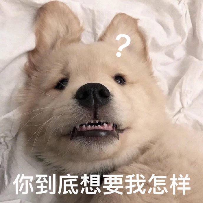 沙雕表情包l你说什么?我眼睛小听不见