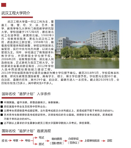 武汉工程大学3 1追梦计划国际本科