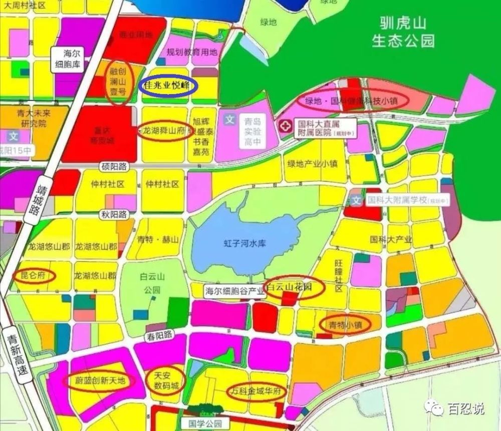政策加码与价格大涨城阳白云山板块新走势