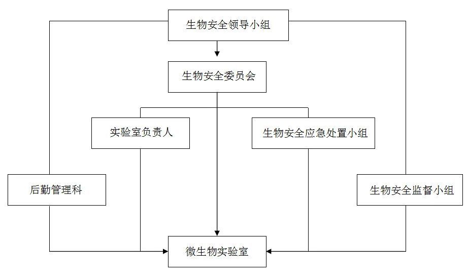 生物安全管理体系组织框架图