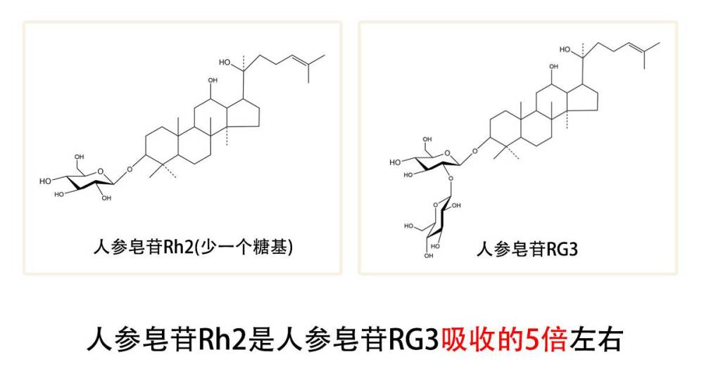 人参皂苷的作用和功效文献整理