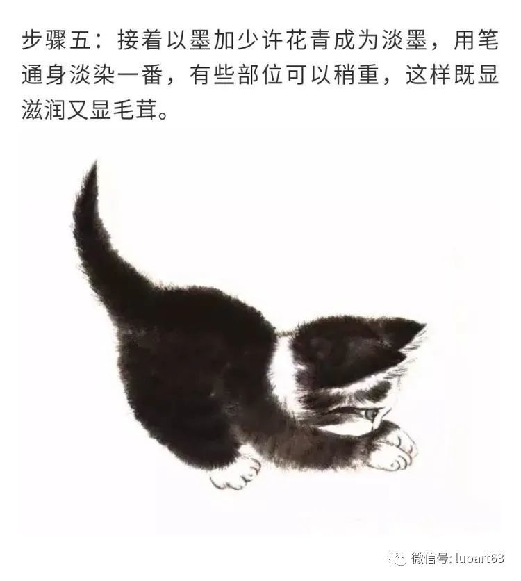 国画技法|猫的基本画法与步骤
