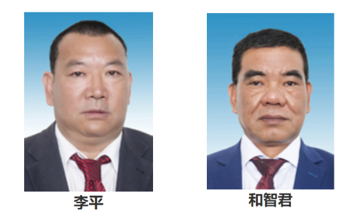 大地水泥董事长_大地水泥(3)