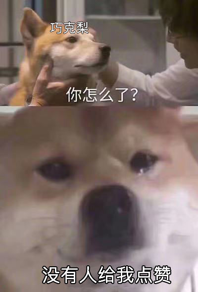 有没有沙雕点的情侣网名?