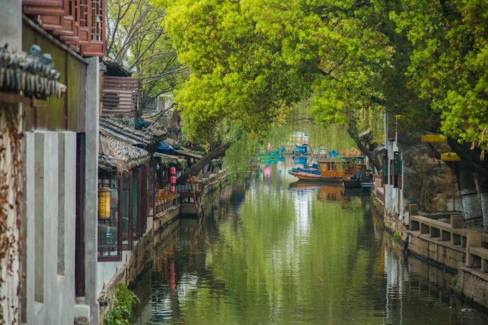 四月江南尽菲芳,水乡深处是周庄
