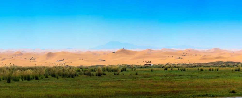 二十年时间,在内蒙古乌兰布和的沙漠中出现了一片绿洲牧场,多年以后的