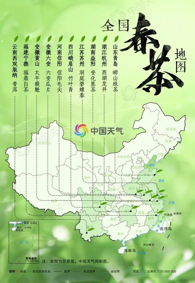 中国春茶地图出炉,带你品味春天的味道