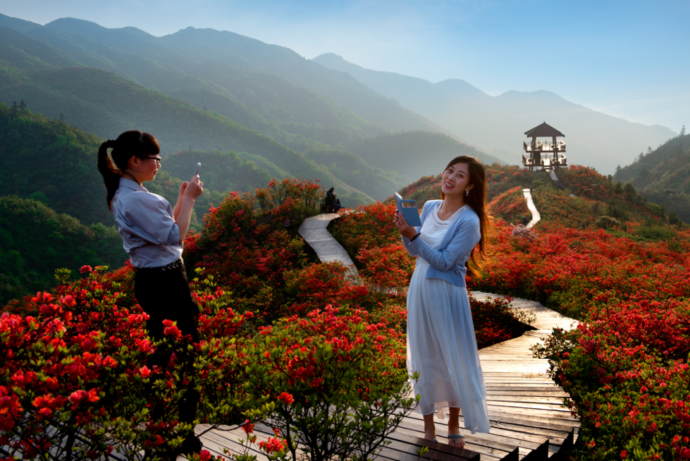 第十三届长沙(浏阳)大围山杜鹃花节活动预告