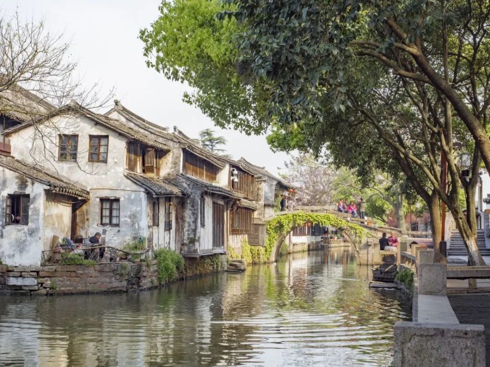距离魔都不到20分钟的水乡之城,浓缩了江南春天的模样!