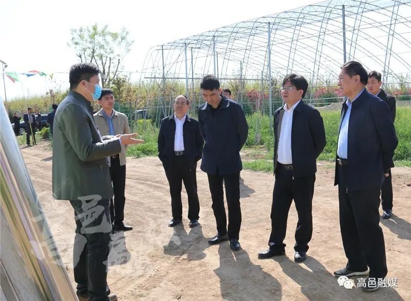 锋对我县设施农业发展情况进行调研,县委副书记张会革参加调研活动