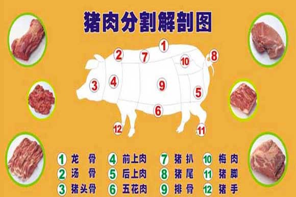 (18)生猪猪肉分割结构图 综上所述,即使你是一个外行,通过观看,学习