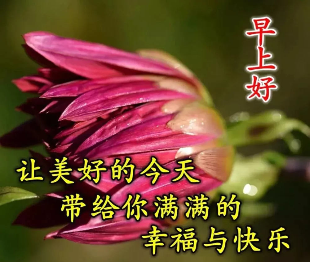 10月27日周三最新早上好问候祝福动态表情图片早安问候语动态图片表情