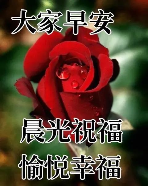 8张创意漂亮早上好动态表情鲜花图片,夏天早晨好动图美图大全