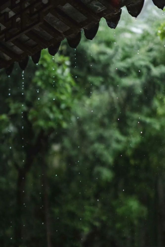 清赏|南朝四百八十寺,多少楼台烟雨中