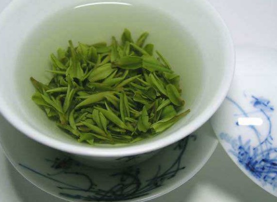 龙井茶的品种简述