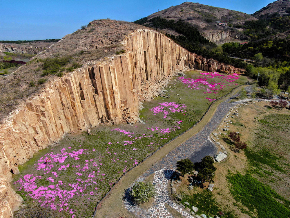 青岛即墨马山石林山花烂漫