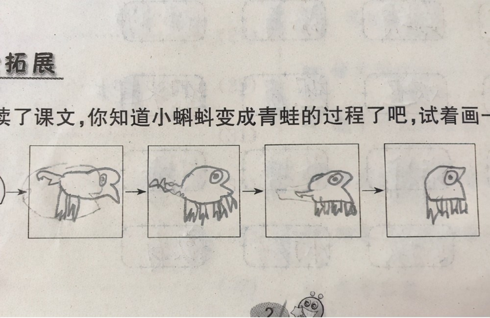 小学生在作业上画"青蛙",老师脸色逐渐凝重,网友:灵魂