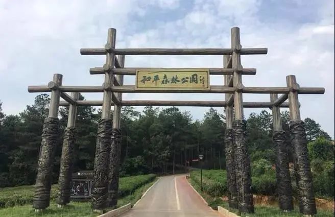 春游江淮请您来丨湾沚区"红色红杨"精品旅游路线,不一样的红色之旅.