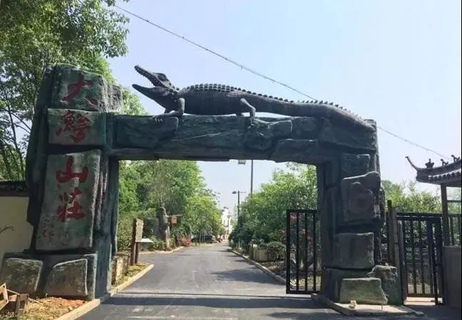 春游江淮请您来丨湾沚区"红色红杨"精品旅游路线,不一样的红色之旅.