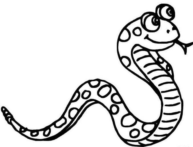 蛇  