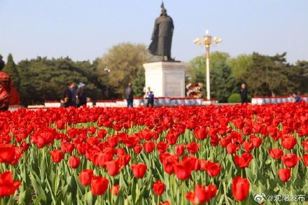 还有这些好"趣"处|沈阳北陵|文旅|北陵公园|花朝节|皇姑区