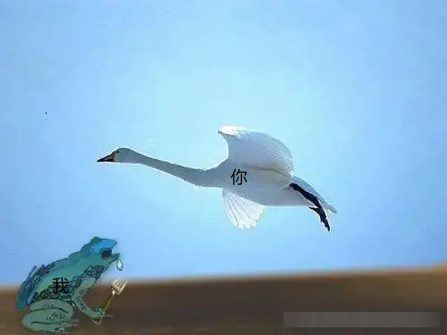 明明这是一个悲伤的故事,有诗,有图为证蛤蟆本是痴情种,敢为红颜惹