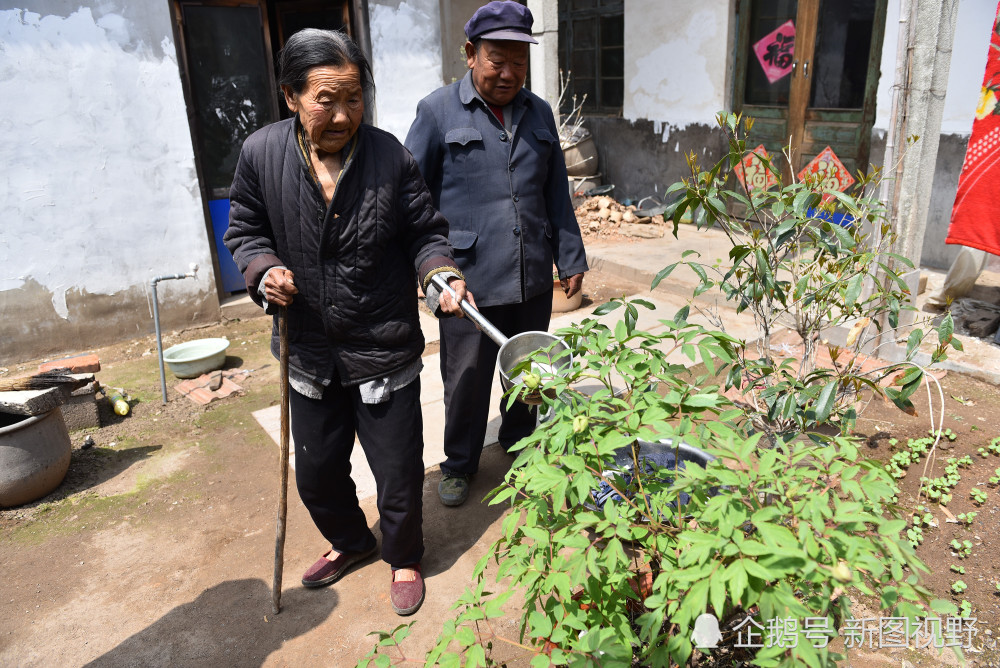 曹建芬老奶奶在院子里浇花