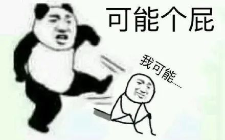 我可能表情包:可能个屁