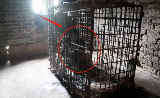 他欠5千万不还,被债主"铁笼沉尸"80米水库,2年后才被打捞上岸