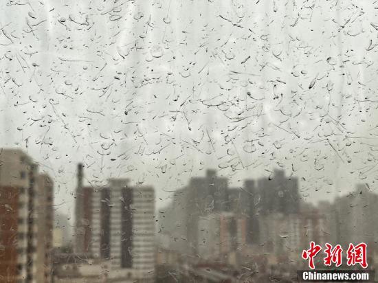 北京迎沙尘大风天气泥雨从天而降