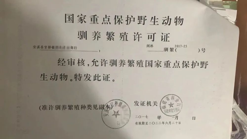 而他口中反复提及的"证",正是《国家重点保护野生动物