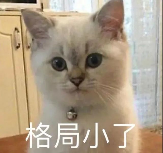 沙雕表情|小老弟,格局小了
